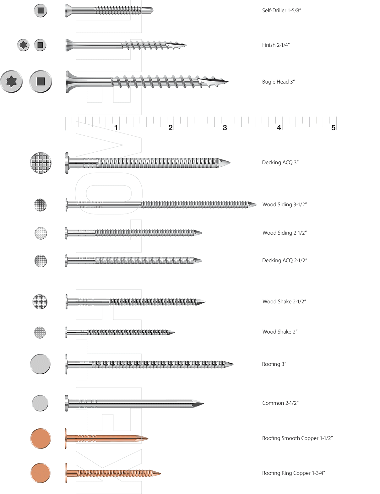 Screws and nails with ruler